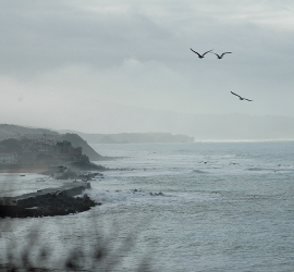 img-270x250-adherer_au_spel