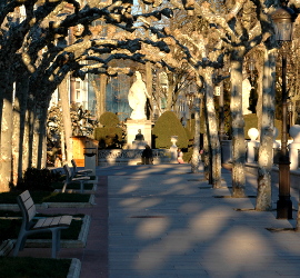 img-270x250-notre_profession_est_unitaire